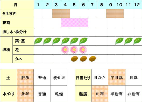 チャービル年間表