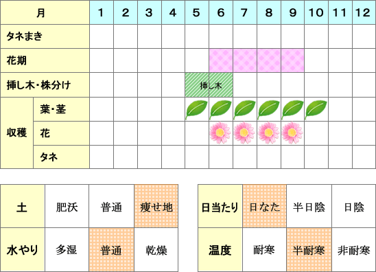 レモンバーベナ年間表