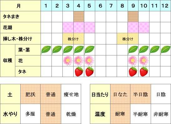 ワイルドストロベリー年間表