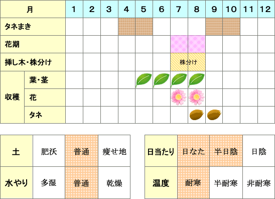 ヤロウ年間表