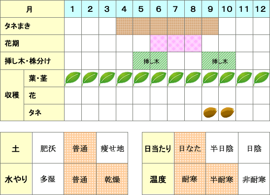 ユーカリ年間表