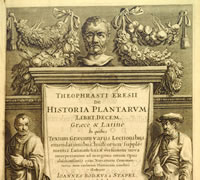 植物誌（Historia Plantarum）
