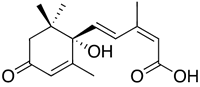 アブシジン酸構造式