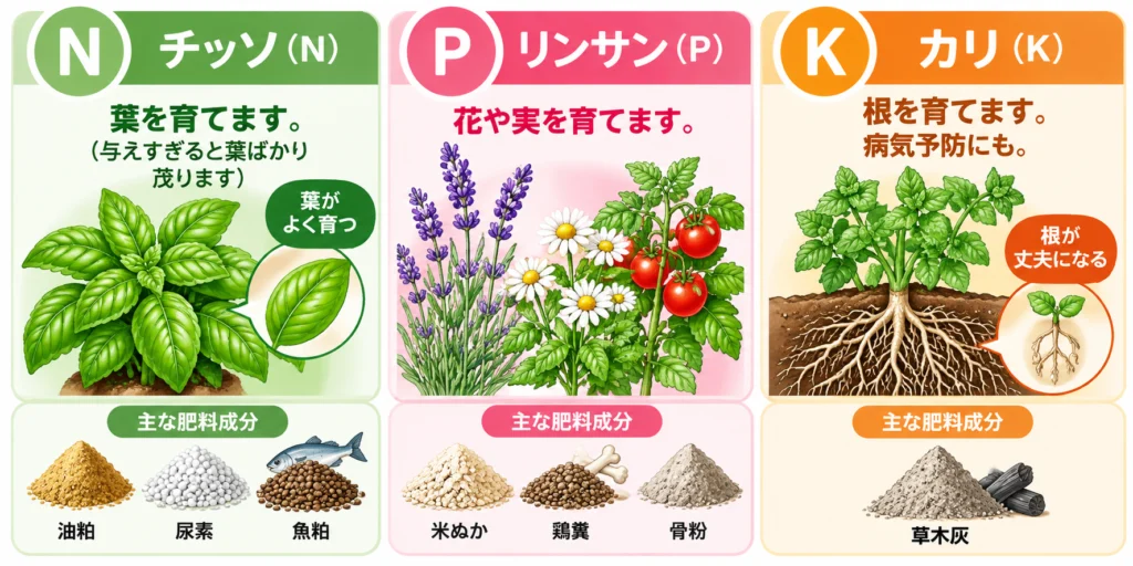 肥料の三大要素(有機肥料)