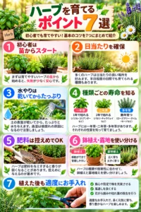 ハーブを育てるポイント7選