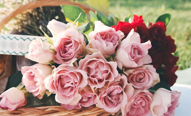 ハーブ花言葉 ～愛や性格、幸福、別れなど～ | ハーブのホームページ