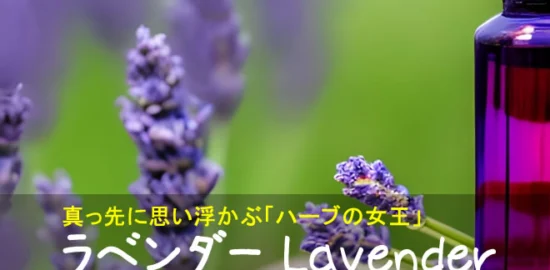 ラベンダーの花と精油の瓶