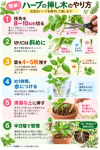 ハーブの挿し木のやり方