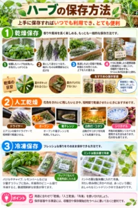 ハーブの保存方法