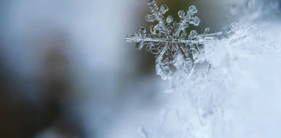 雪の結晶
