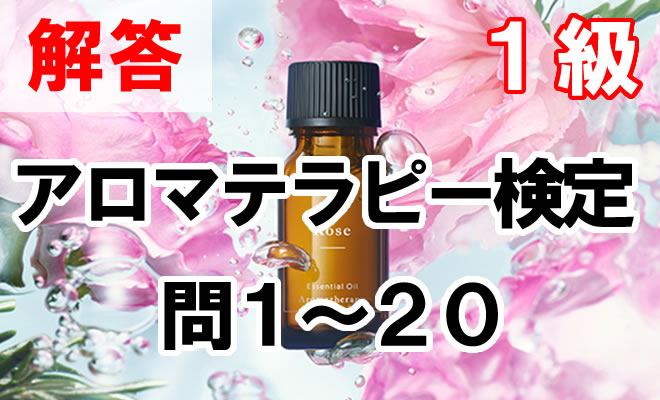 【Lua】アロマテラピー検定 1級対策 アロマテラピー検定公式テキスト1級2級（2020年6月改訂版