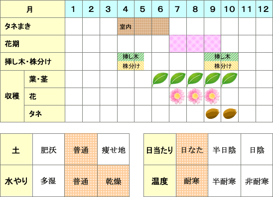 ホップ年間表