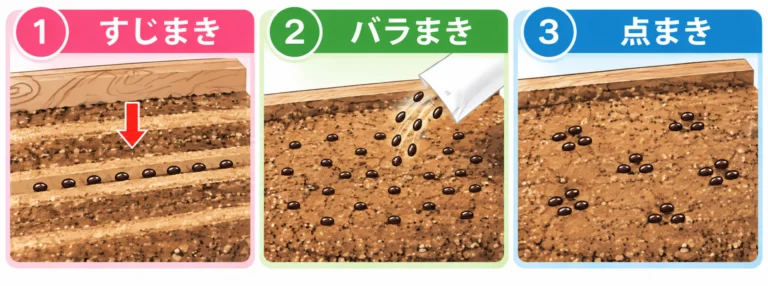 種のまき方3種類（すじまき・バラまき・点まき）