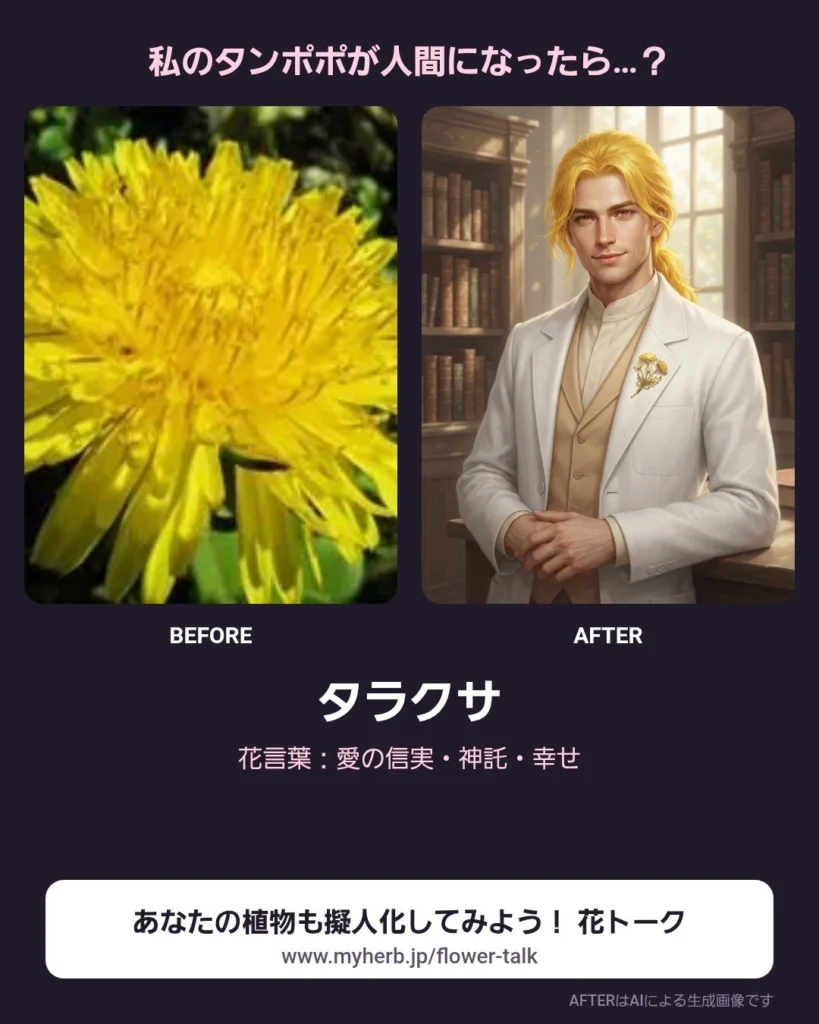 投稿された写真