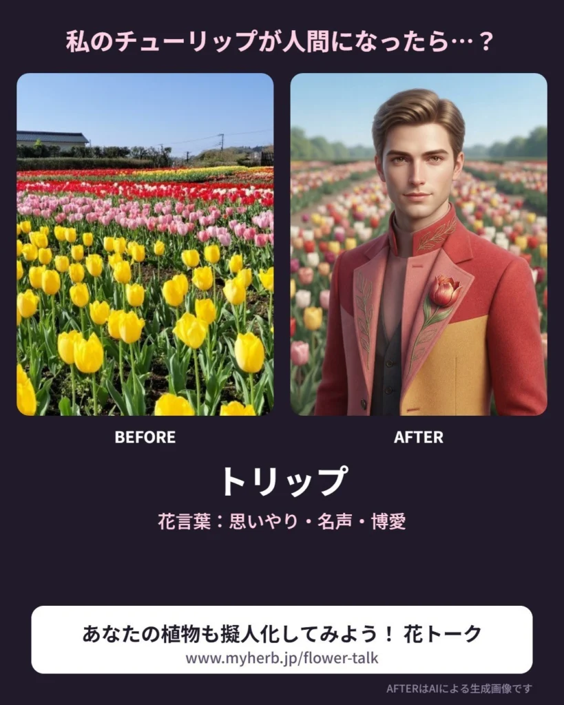 投稿された写真