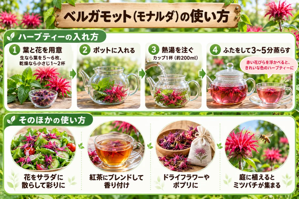 ベルガモットの使い方(ハーブティー・花の利用)