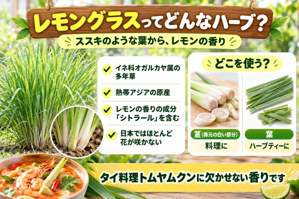 レモングラスとは?レモンの香りのイネ科ハーブ
