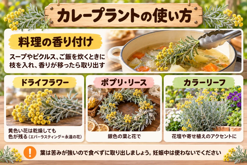 カレープラントの使い方(香り付け・ドライフラワー・ポプリ)