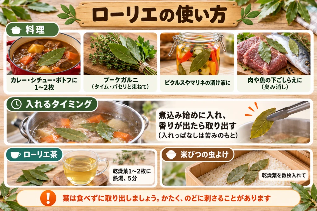 ローリエの使い方（煮込み料理・お茶・虫よけ）