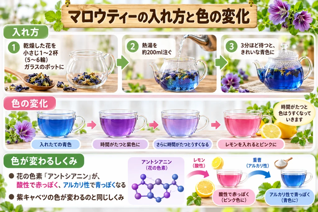マロウティーの入れ方と色が変わるしくみ