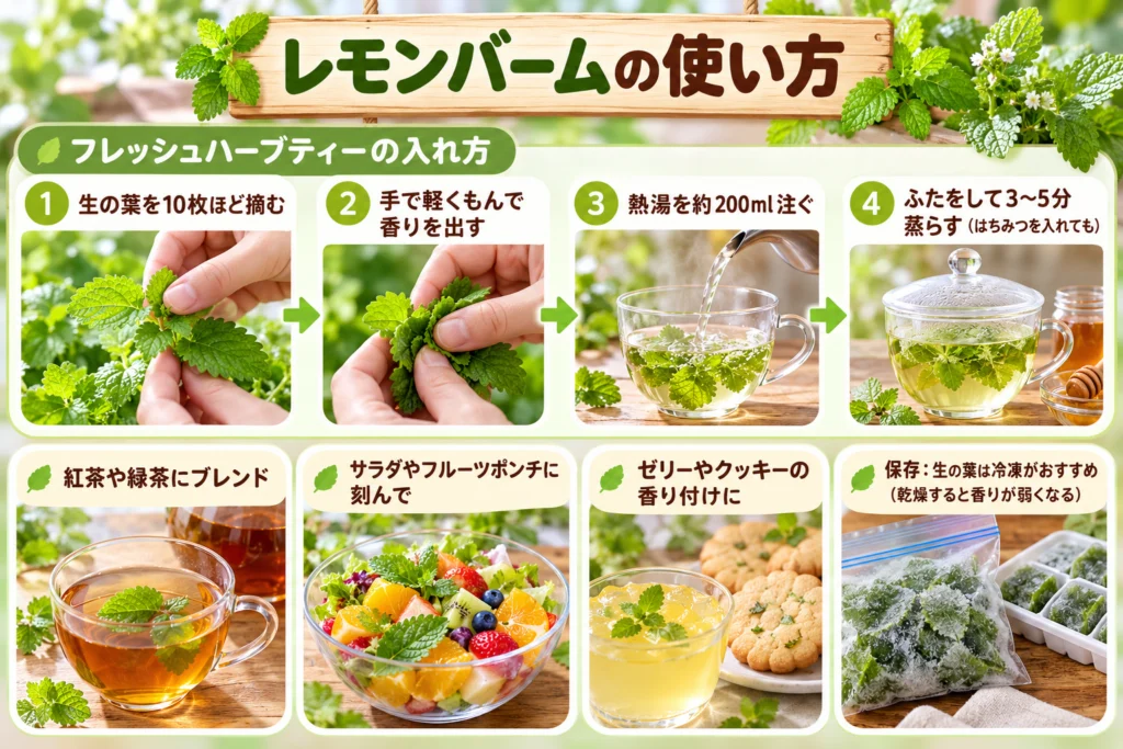 レモンバームの使い方(ハーブティー・料理・保存)