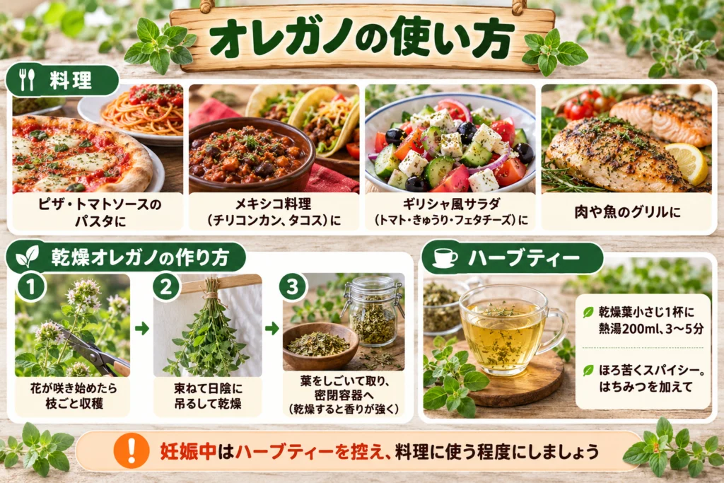 オレガノの使い方(料理・ハーブティー・乾燥)