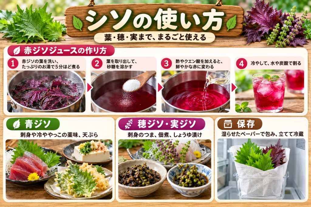 シソの使い方（薬味・シソジュース・保存）