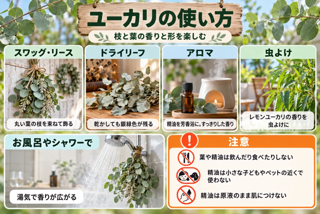 ユーカリの使い方(スワッグ・リース・アロマ・虫よけ)
